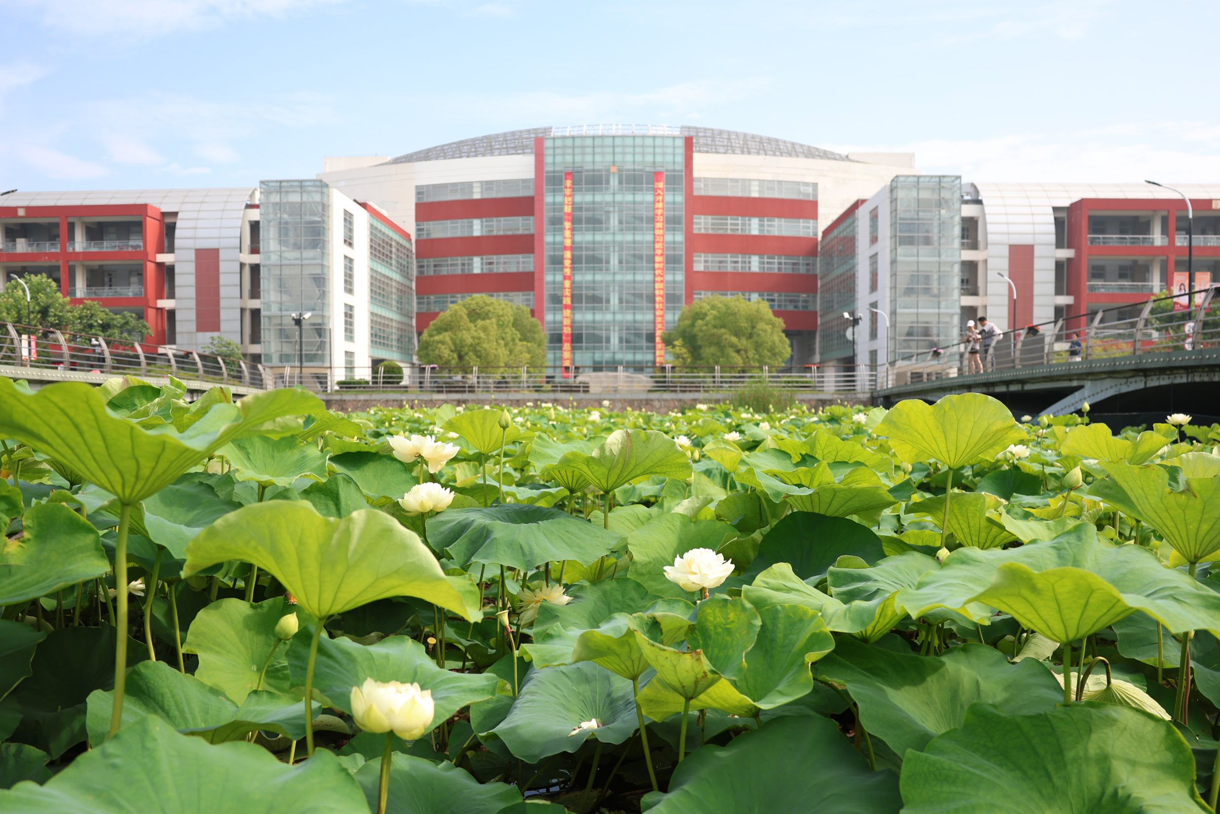 特等奖！beat365教师在第五届上海市高校教师教学创新大赛中获多项佳绩