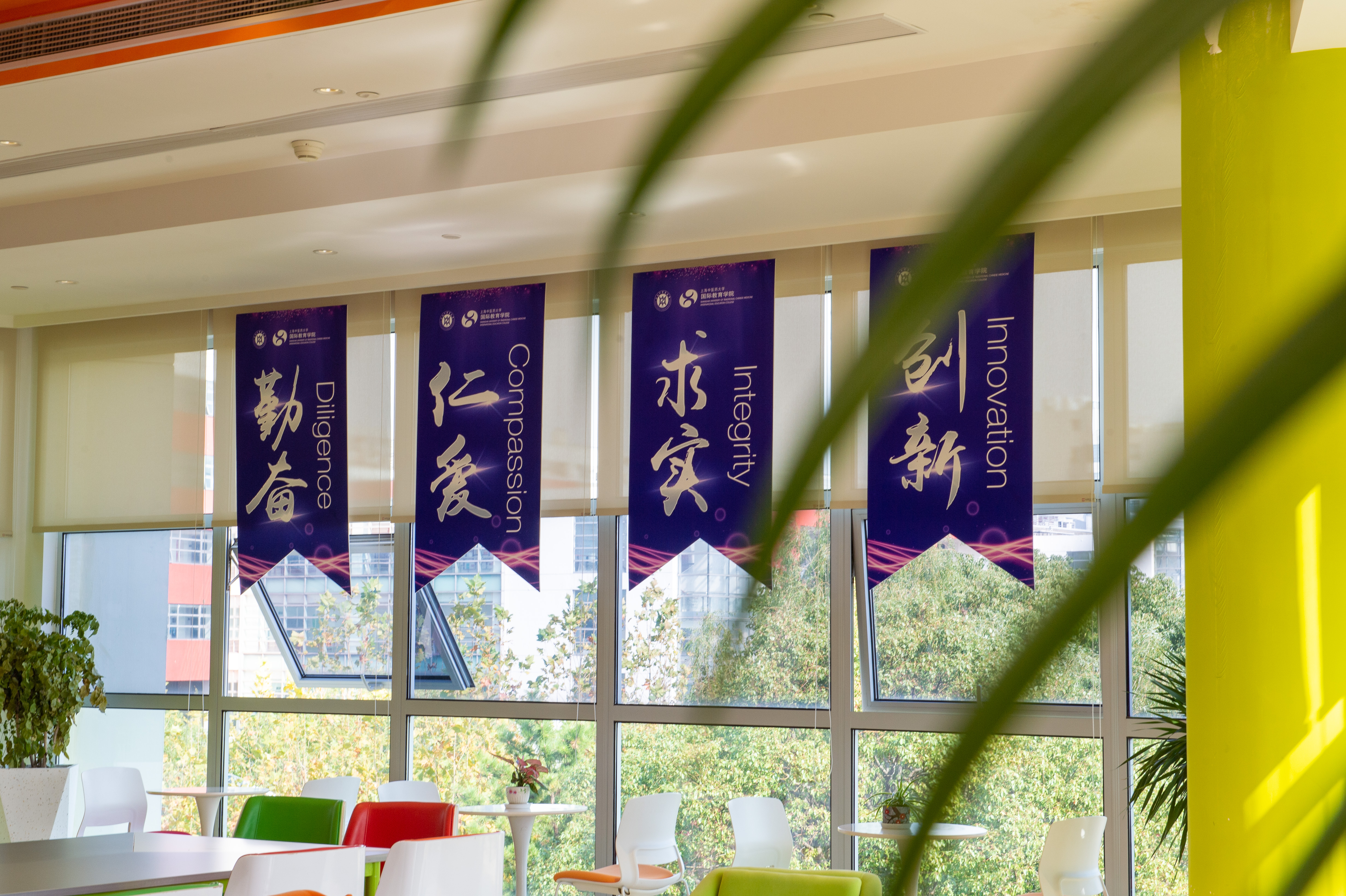 喜讯！beat365戴榕辰入选全国博士后创新人才支持计划