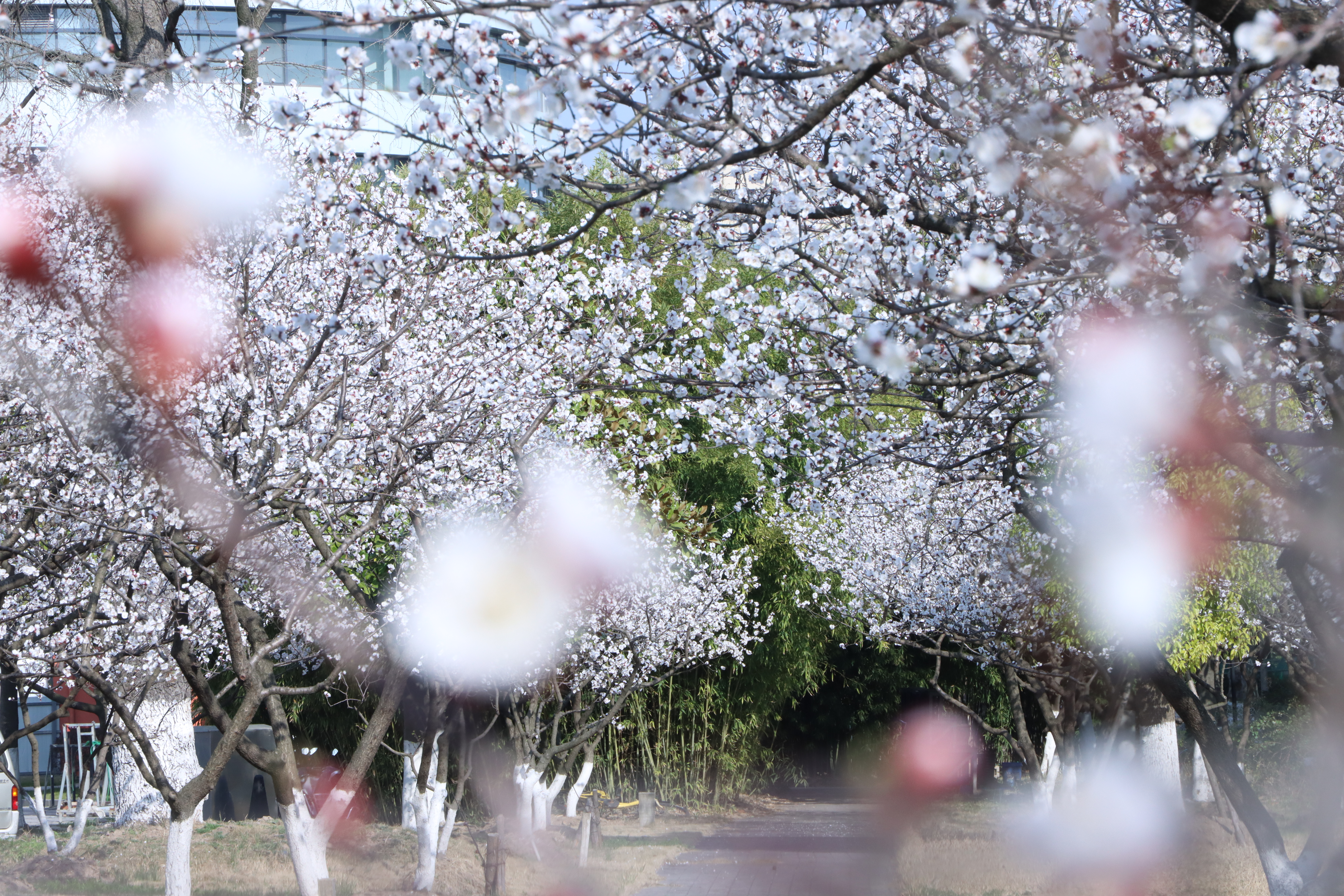 2023年上海科普教育创新奖颁奖，beat365系统共获奖11项