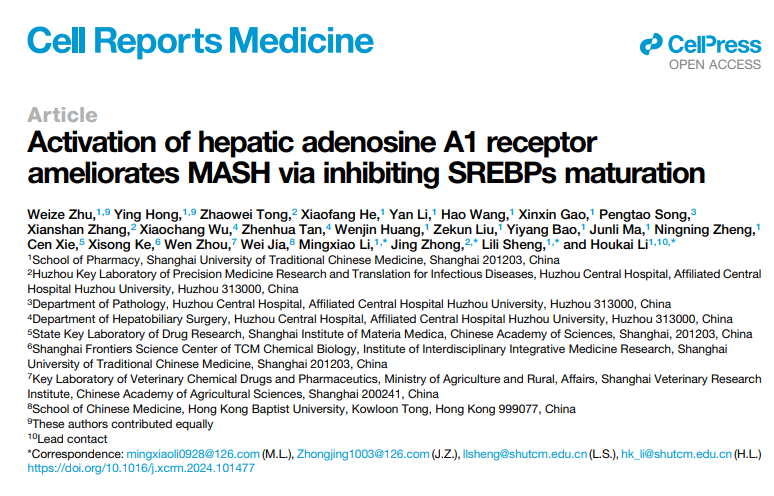 中药学院李后开教授团队在MASH治疗新靶标发现与靶向中药小分子研究中取得新进展