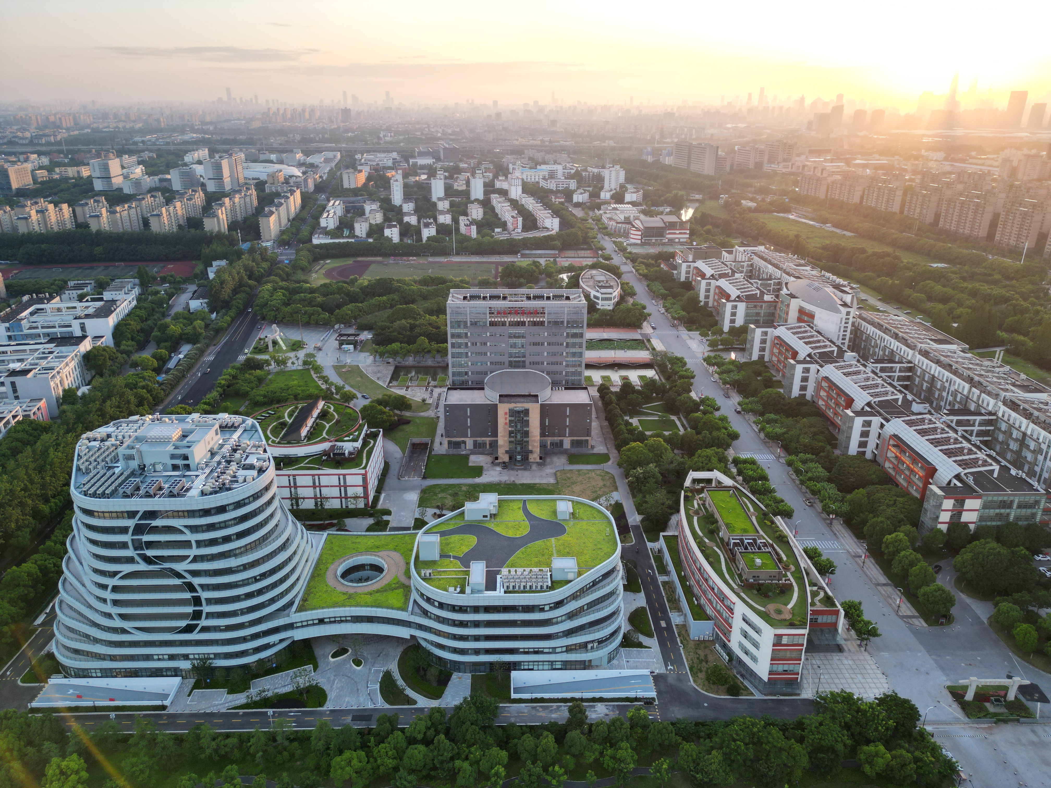 2023年beat365博士后工作取得新业绩