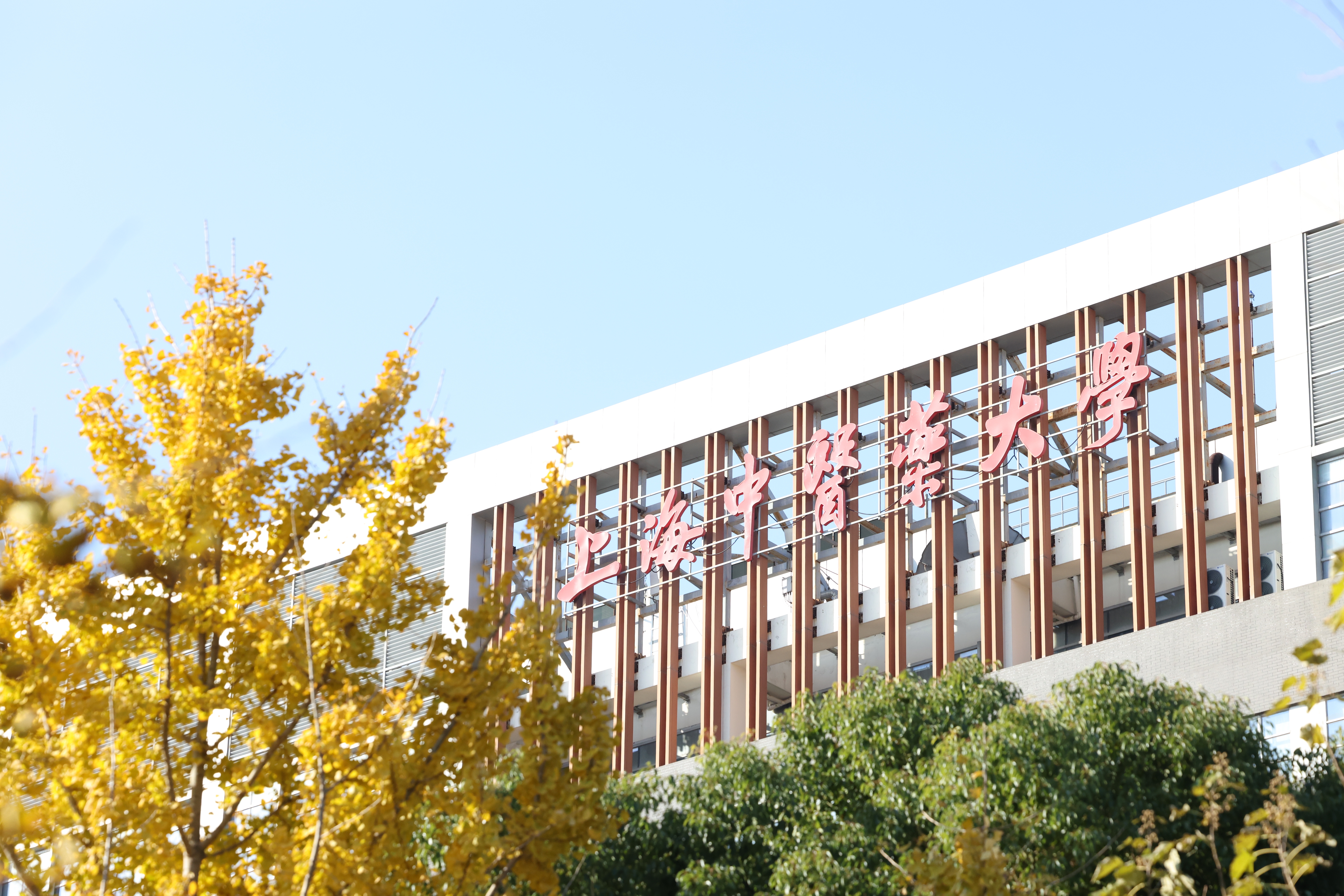 beat365系统八项成果喜获2025年度中国民族医药学会科学技术奖