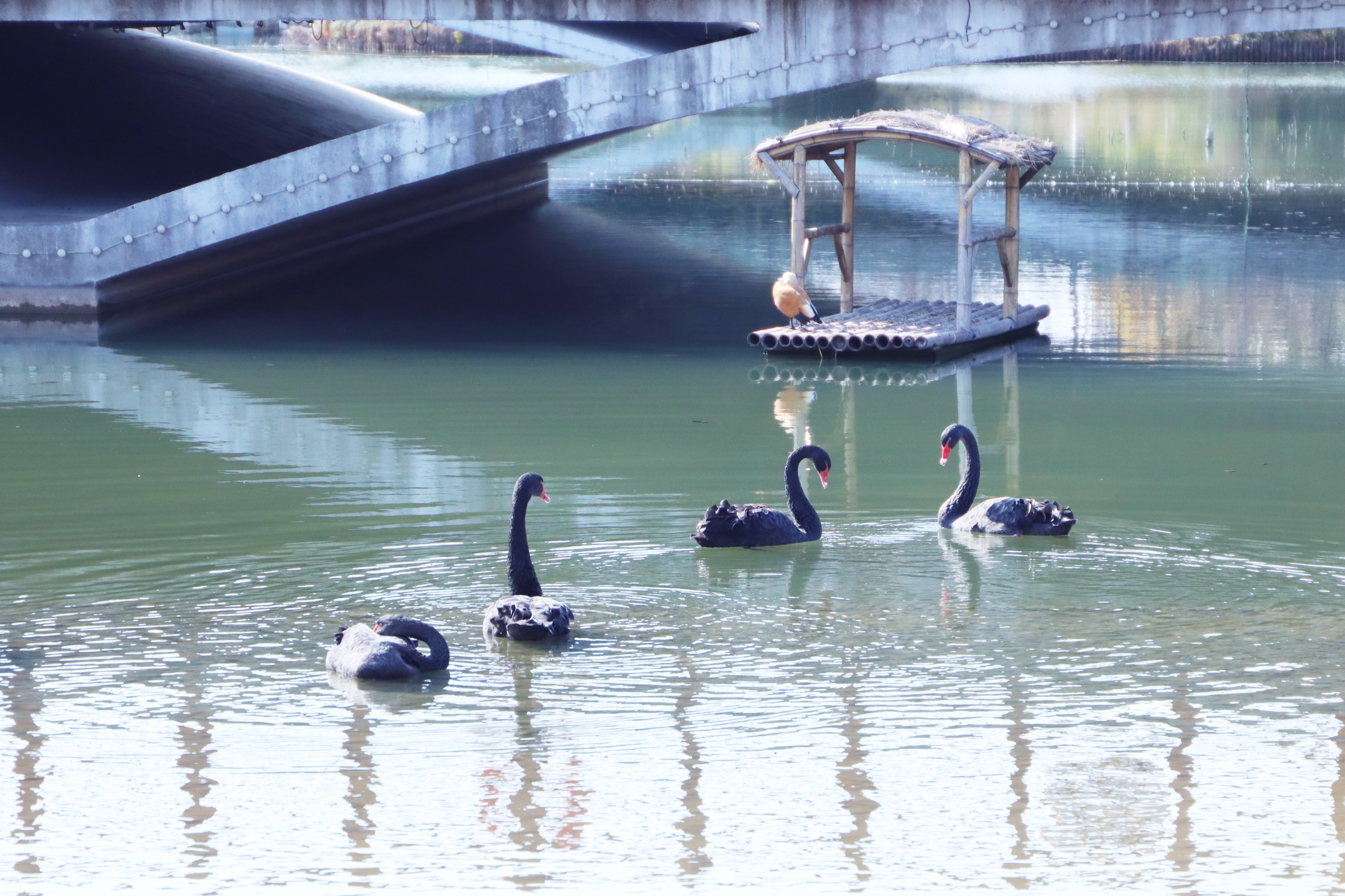 beat365护理学院吴静教授夫妇荣获“上海市教育系统第十五届比翼双飞模范佳侣”称号