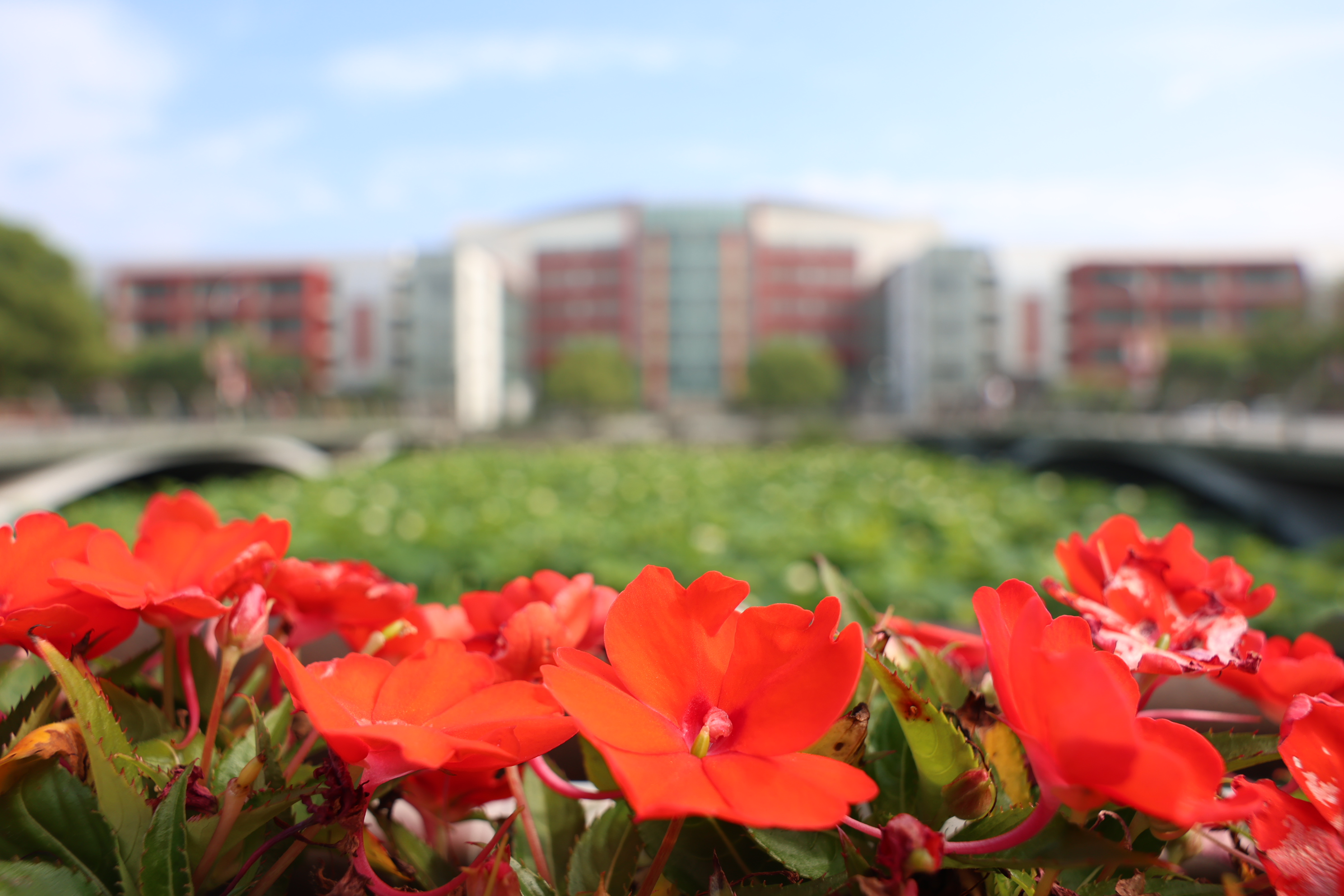 祝贺！beat365系统4项成果喜获上海市科学技术奖