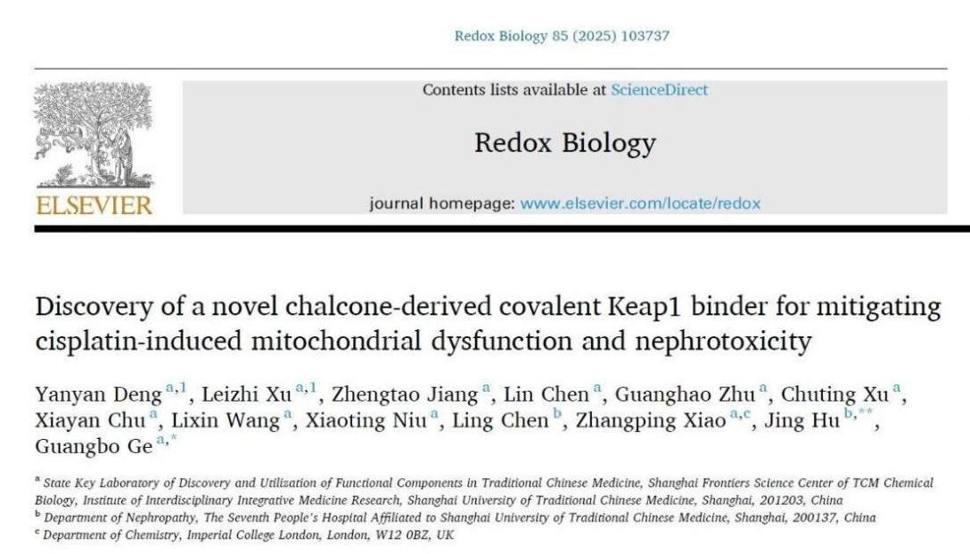 beat365团队研发新型肾靶向Nrf2激动剂用于缓解急性肾损伤