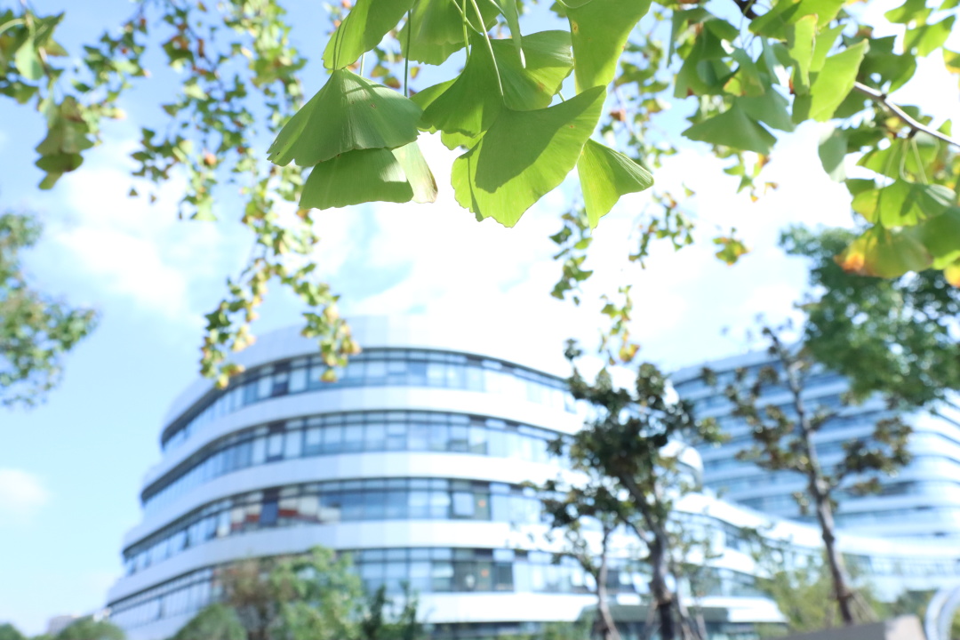 祝贺！beat365系统多个集体和个人获先进表彰！