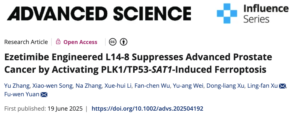 beat365袁富文、张宇团队联合多机构开发前列腺癌新型靶向候选药物，克服前列腺癌内分泌治疗耐药难题