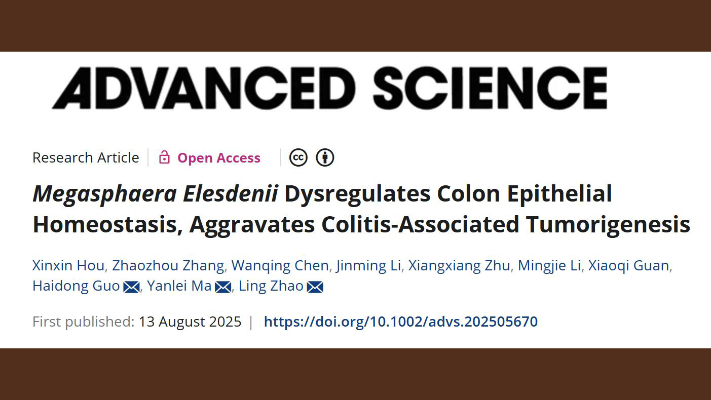 beat365中西医结合学院研究团队揭示肠道菌Megasphaera促进结直肠癌炎癌转化的机制