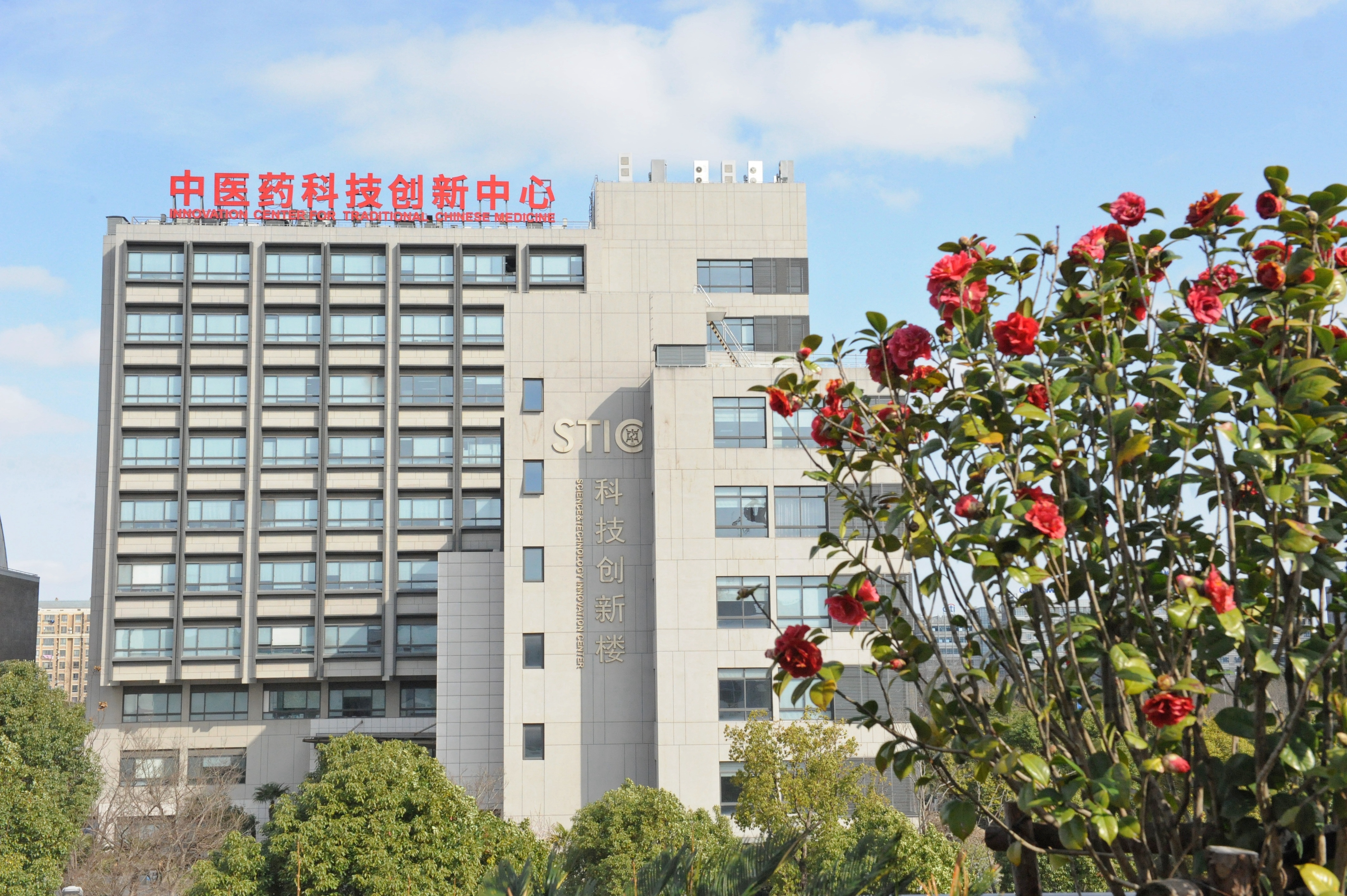 学校国家自然科学基金立项再创佳绩