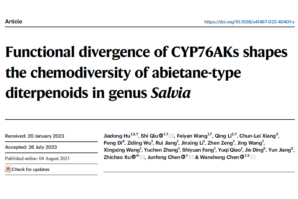 中药研究所陈万生团队揭示鼠尾草属植物中松香烷二萜类化合物结构多样性的形成机制