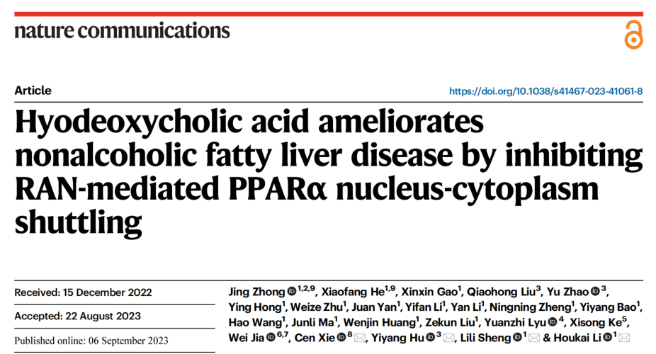 中药学院李后开团队揭示猪脱氧胆酸治疗非酒精性脂肪肝的新机制